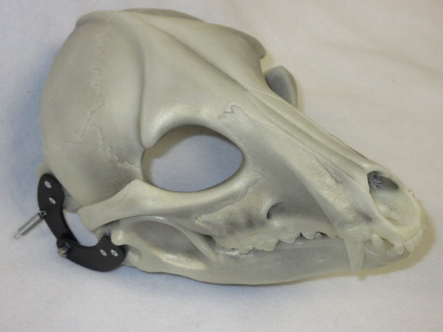 Specialty Cut and Hinged Skeletal K9 Resin Mask Blank