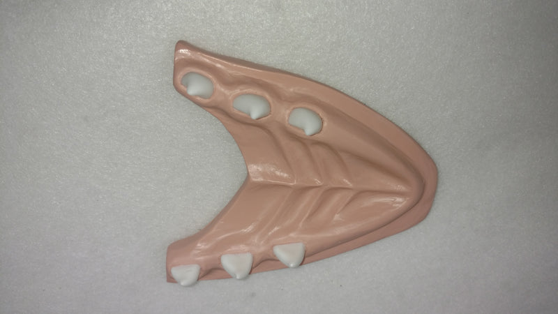 Basic Northern Sergal Jawset