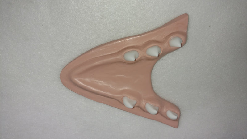 Basic Northern Sergal Jawset