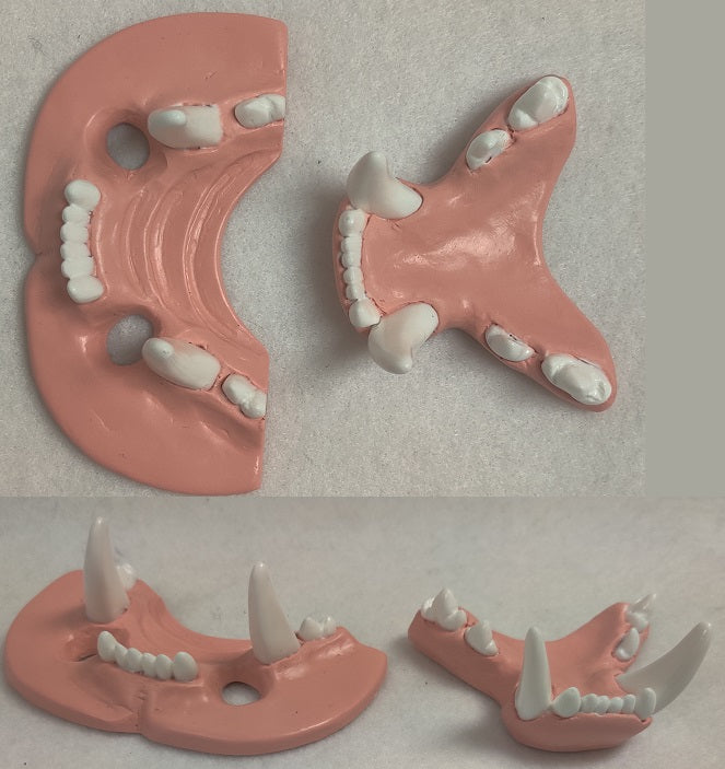 Basic Big Cat Jawset