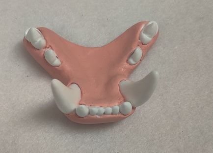 Basic Big Cat Jawset