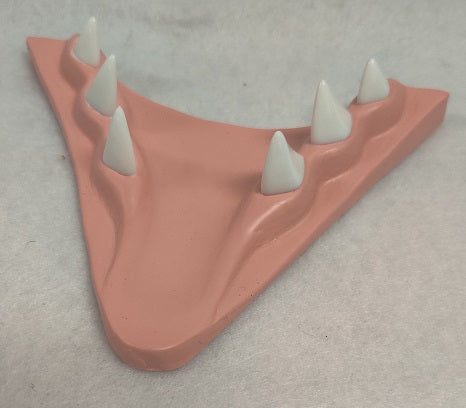 Basic Eastern Sergal Jawset