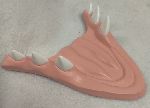 Basic Eastern Sergal Jawset