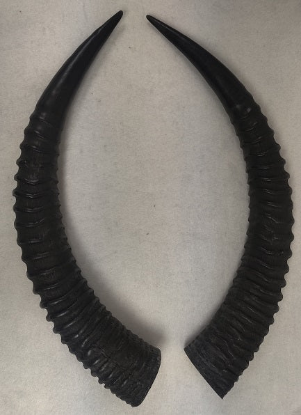 Plastic Opaque Roan Antelope Horns