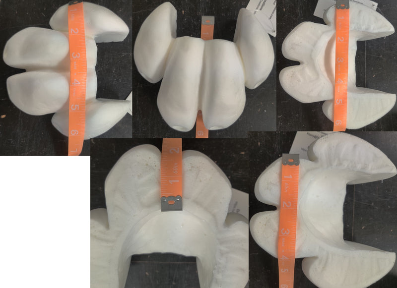 Foam Small Canine Toes