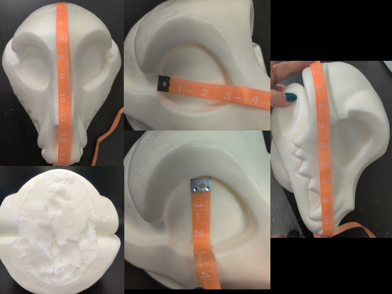 Foam Toony Skeletal K9 Head