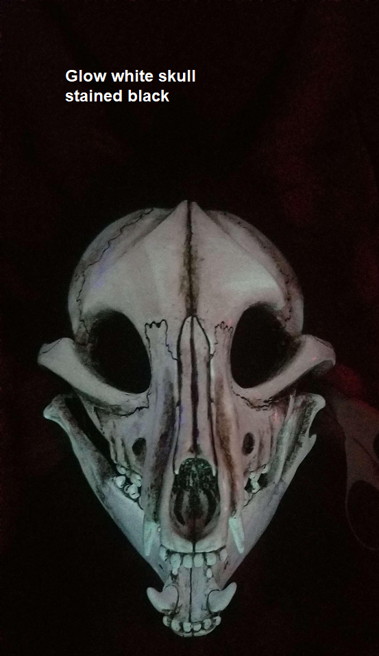 Glow in the Dark Toony Skull K9 Uncut Resin Mask