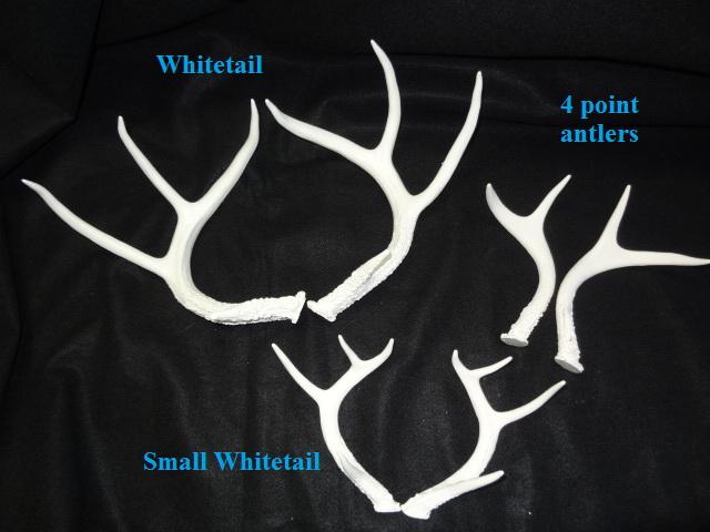 Plastic Opaque Large Whitetail Deer Antlers