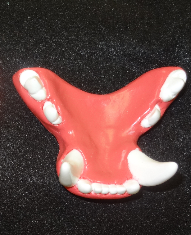 Basic Big Cat Jawset