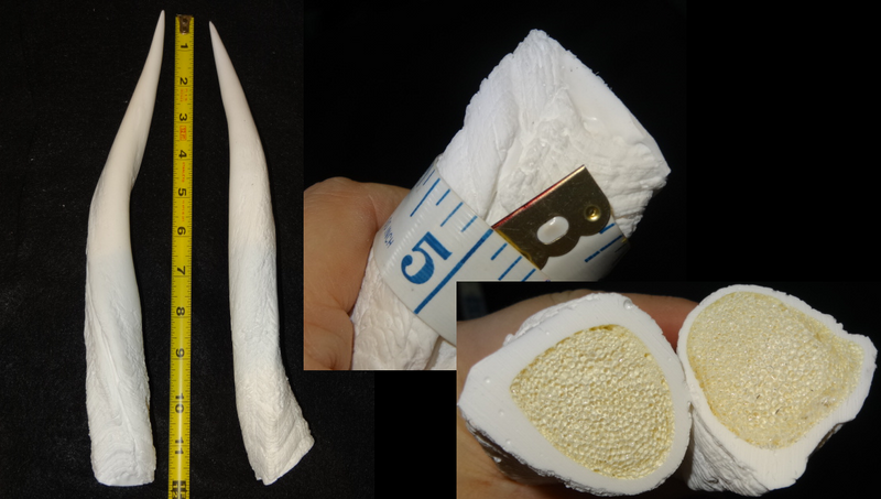 Plastic Opaque Bushbok Antelope Horns