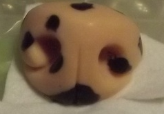 Silicone Large Toony K9 Nose