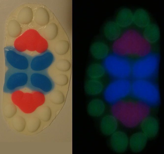 Silicone Glow in the Dark Small Anthro K9 Handpads