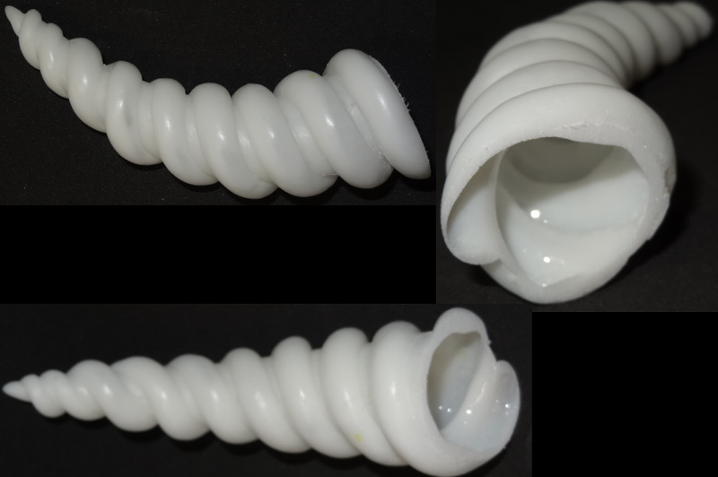 Plastic Opaque 4 Inch Curved Unicorn Horn