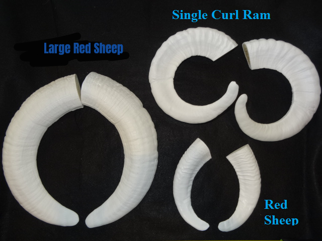 Plastic Opaque Large Red Sheep Horns