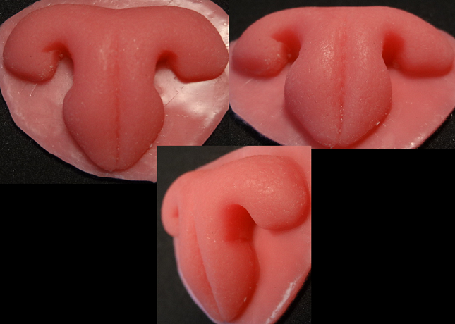 Silicone Realistic Small Feline Nose