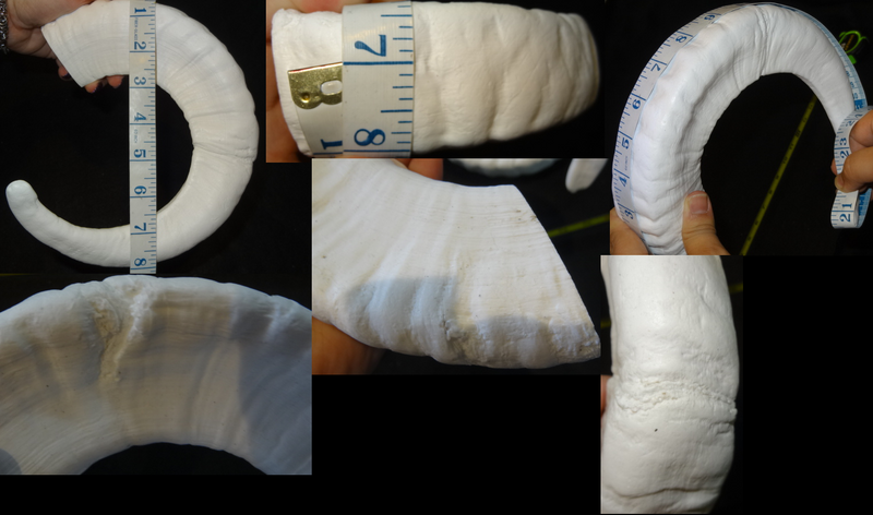 Plastic Opaque Single Curl Ram Horns