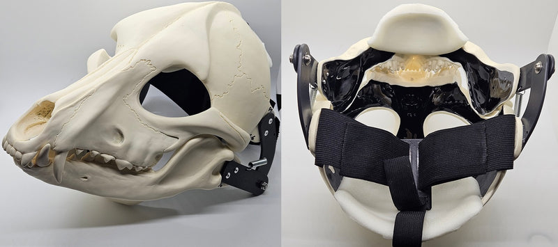 Skeletal K9 Cut and Hinged Mask
