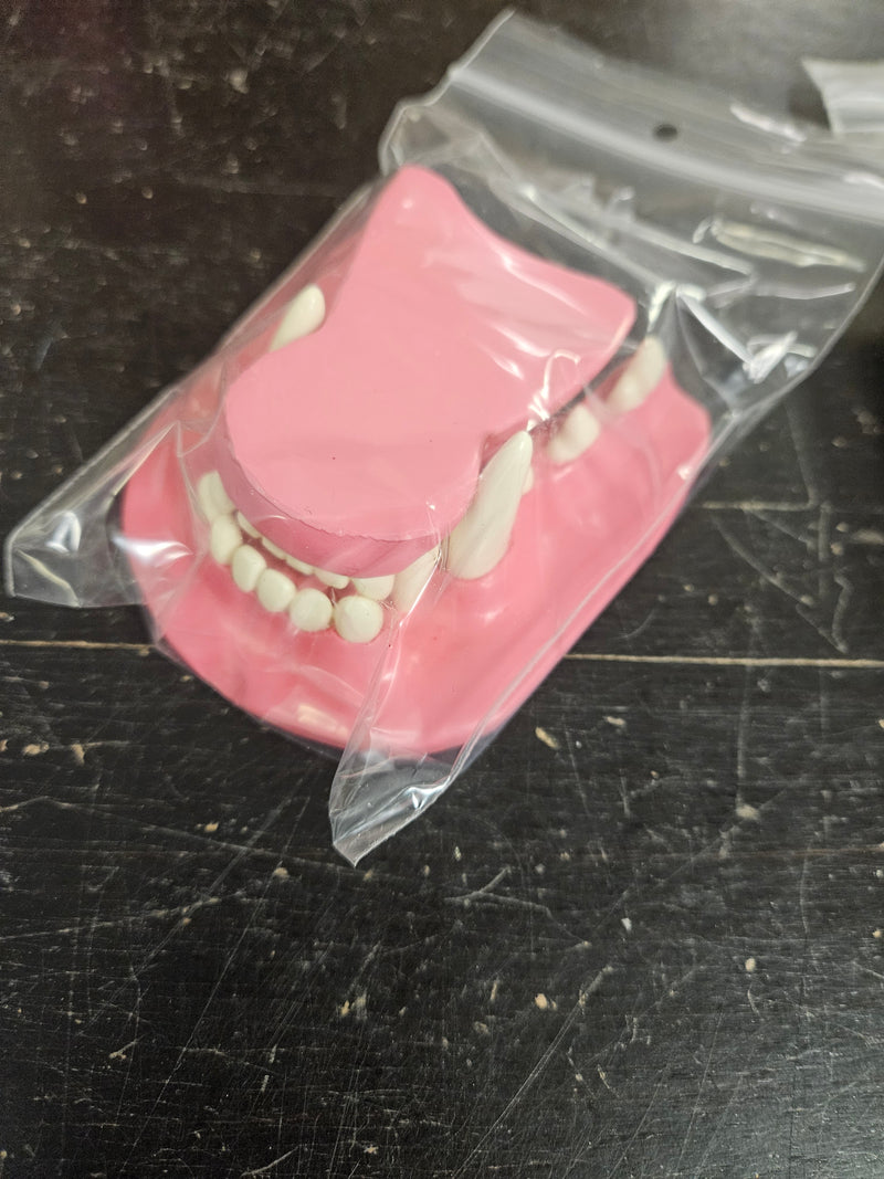 Ready to Ship: Small K9 Jawset