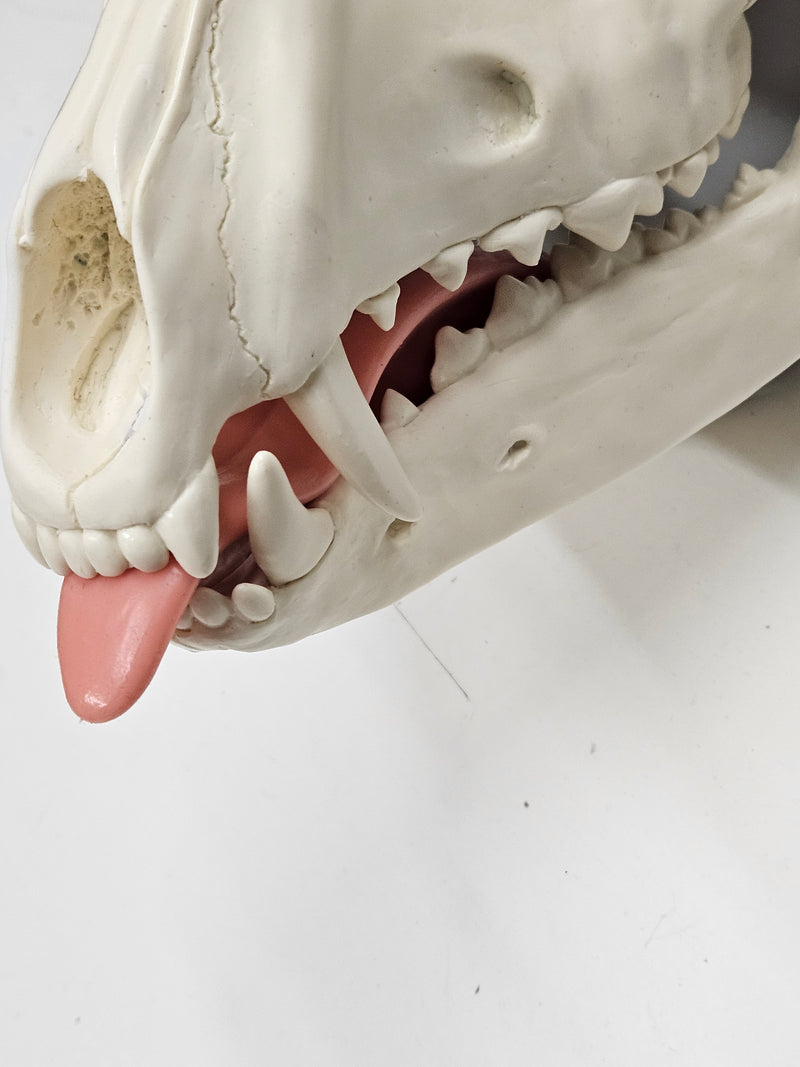 Silicone Glitter Skeletal K9 Tongue