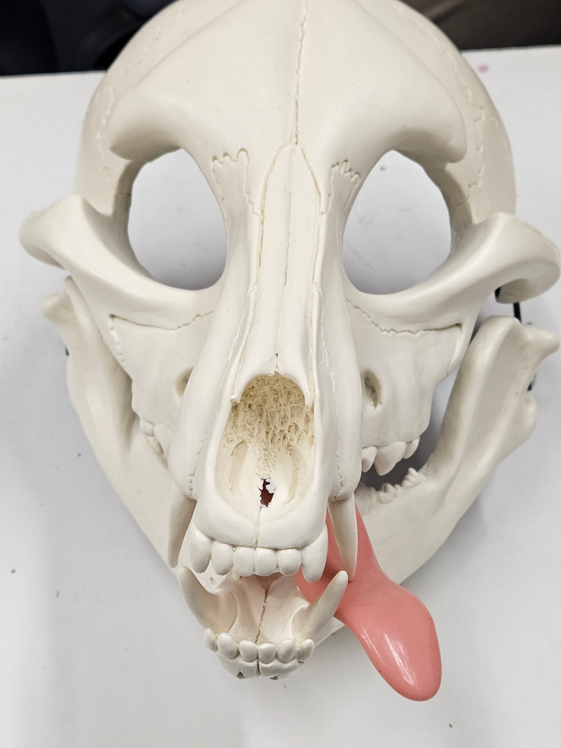 Silicone Skeletal K9 Tongue