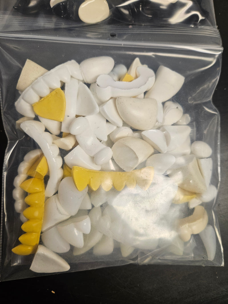 Discounted Item: Teeth
