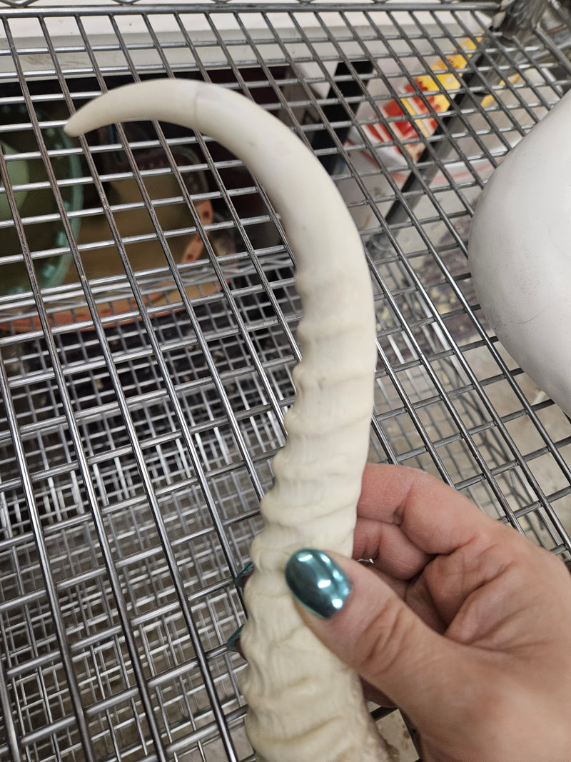 Discounted Item: Single Horns