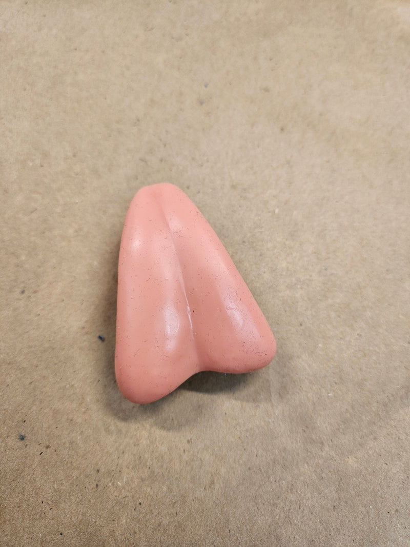 Ready To Ship: Small Predator Bird Tongue
