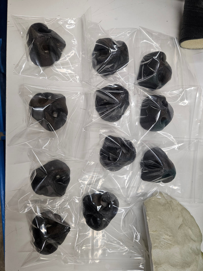 Ready to Ship: Plastic Realistic Canine Nose