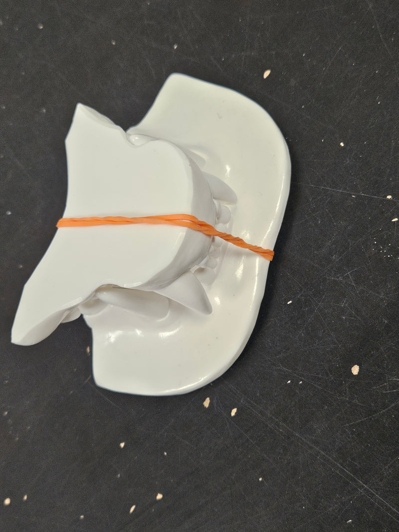 Discounted Item: Jawsets