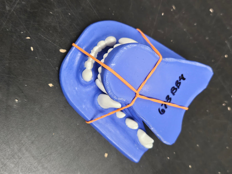 Discounted Item: Jawsets