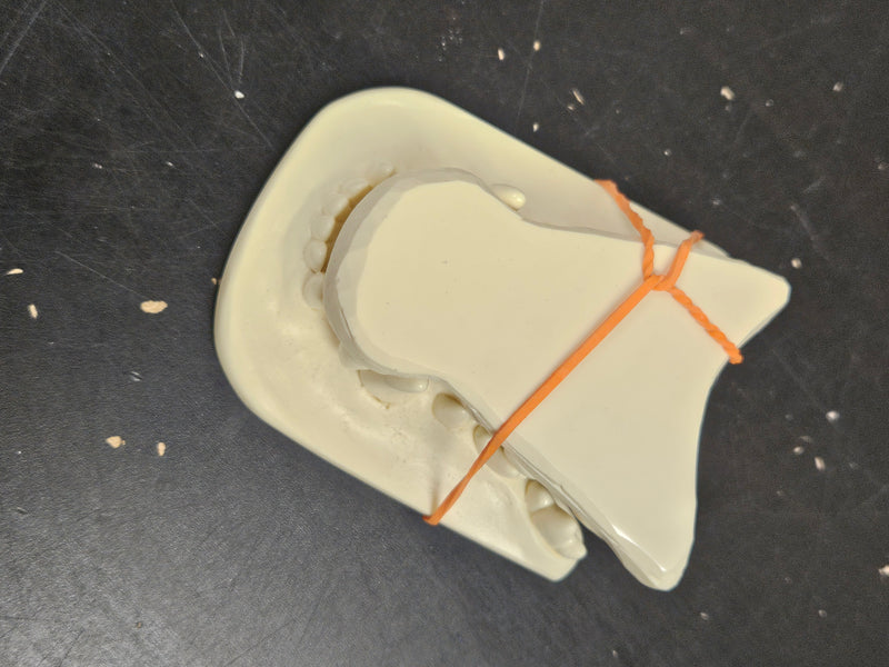 Discounted Item: Jawsets