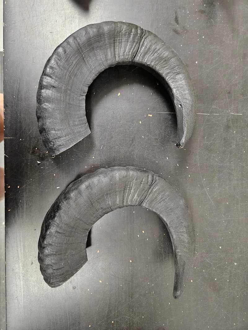 Discounted Item: Single Horns