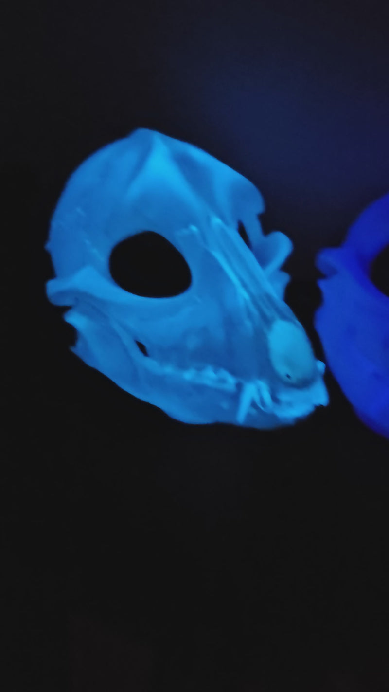 Glow in the Dark Skeletal K9 Cut and Hinged Mask