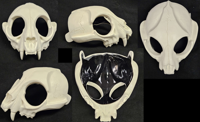 Skeletal Feline Upper Jaw Mask