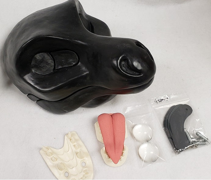 Round Nose Dragon Basic Resin Kit