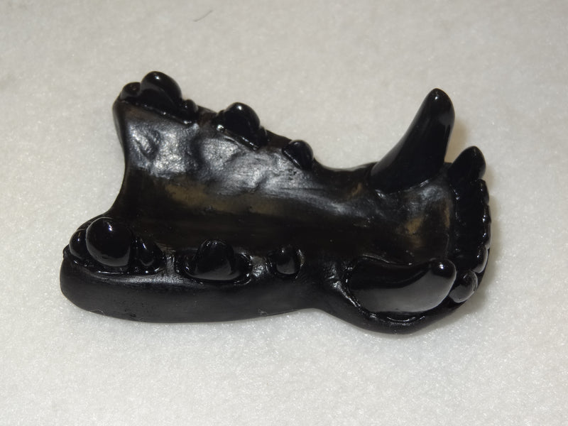 Opaque Single Color Small K9 Jawset