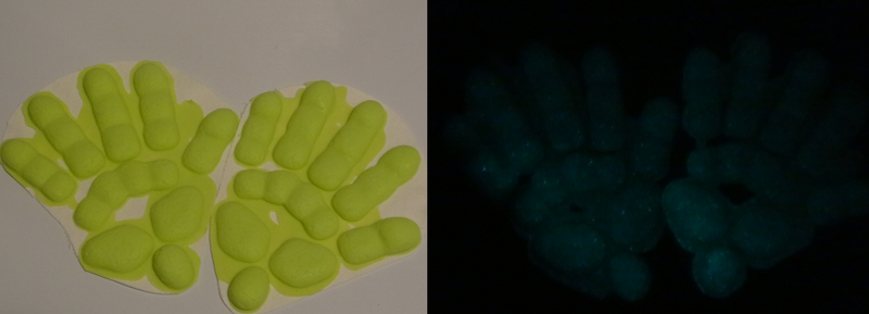 Silicone Glow in the Dark Reptile Handpads
