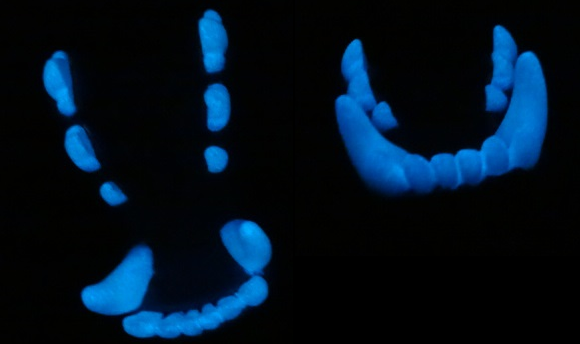 Two Colored Glow in the Dark Small K9 Jawset